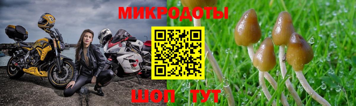 Богданович  Галлюциногенные грибы прущие грибы  Псилоцибиновые грибы прущие грибы  Вход с VPN 