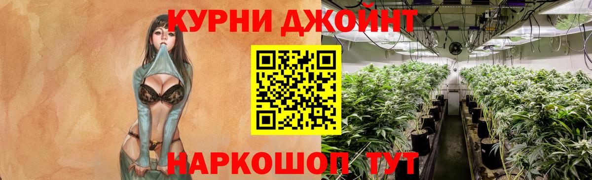 МАРИХУАНА планчик Богданович